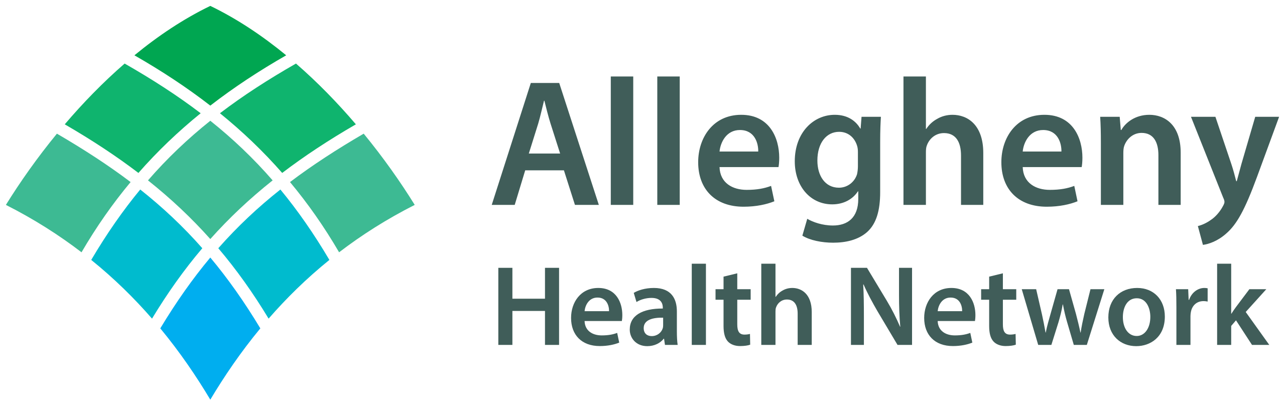 Allegheny_Health_Network_logo.svg